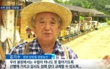 [대전MBC뉴스]슈퍼 꿀벌 '장원벌' 개발